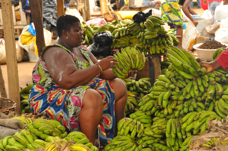 Banana Seller surrounded by her wares in the market.