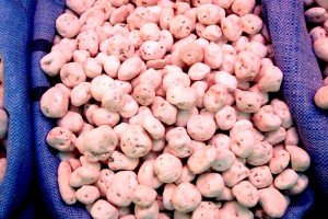 Tuntas--freeze-dried peeled potatoes in market