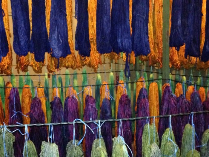 Purple and gold hand-dyed yarns dry at the Malabrigo mill.
