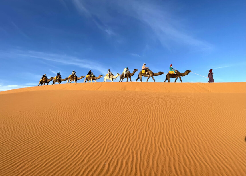 A group of tourists on camels traverse orange sand dunes at the edge of the Sahara Desert.