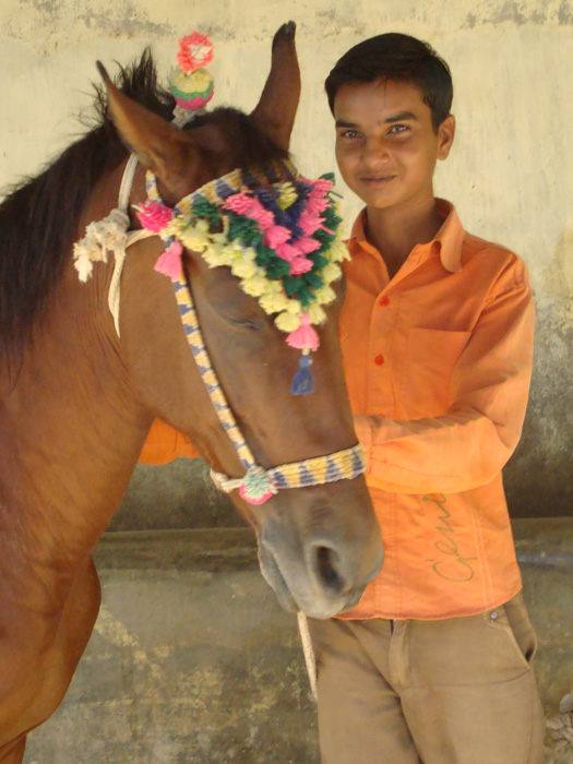 A teenaged boy with his decorated horse.